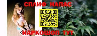 шишки Бийск