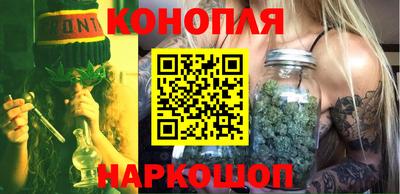 шишки Бийск