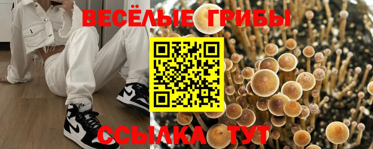Воркута  Псилоцибиновые грибы ЛСД  Вход с VPN  Псилоцибиновые грибы мицелий 